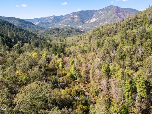 ADDRESS PRIVATE, ROGUE RIVER, OR 97537 - Image 29b03205e390efb01262936a4938f2d1/733683053