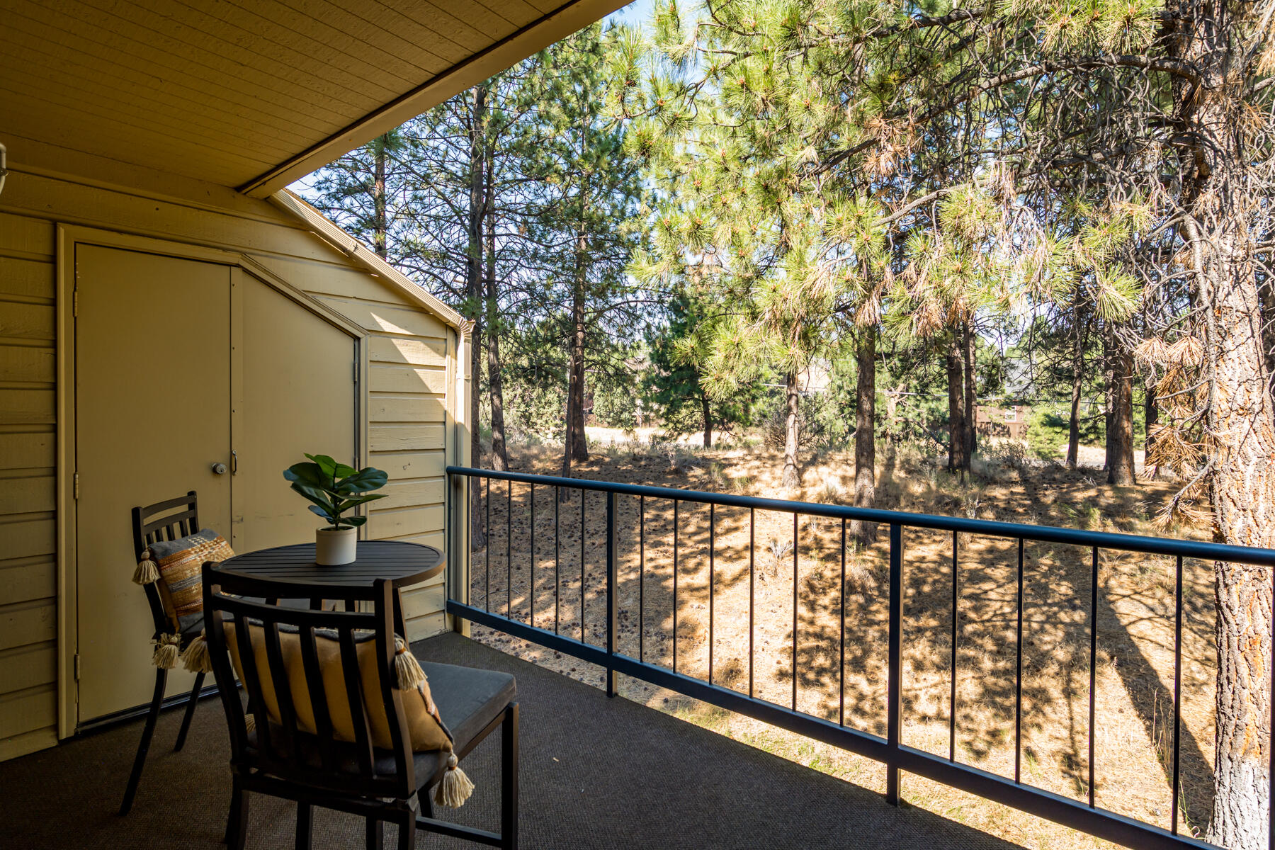 Mt Bachelor Village - Residential