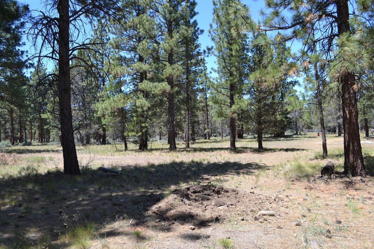 Indian Ford Meadows - Residential