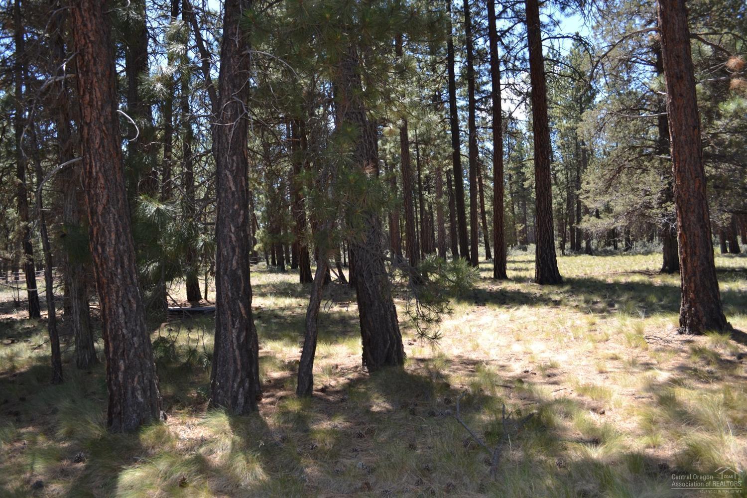 Indian Ford Meadows - Residential