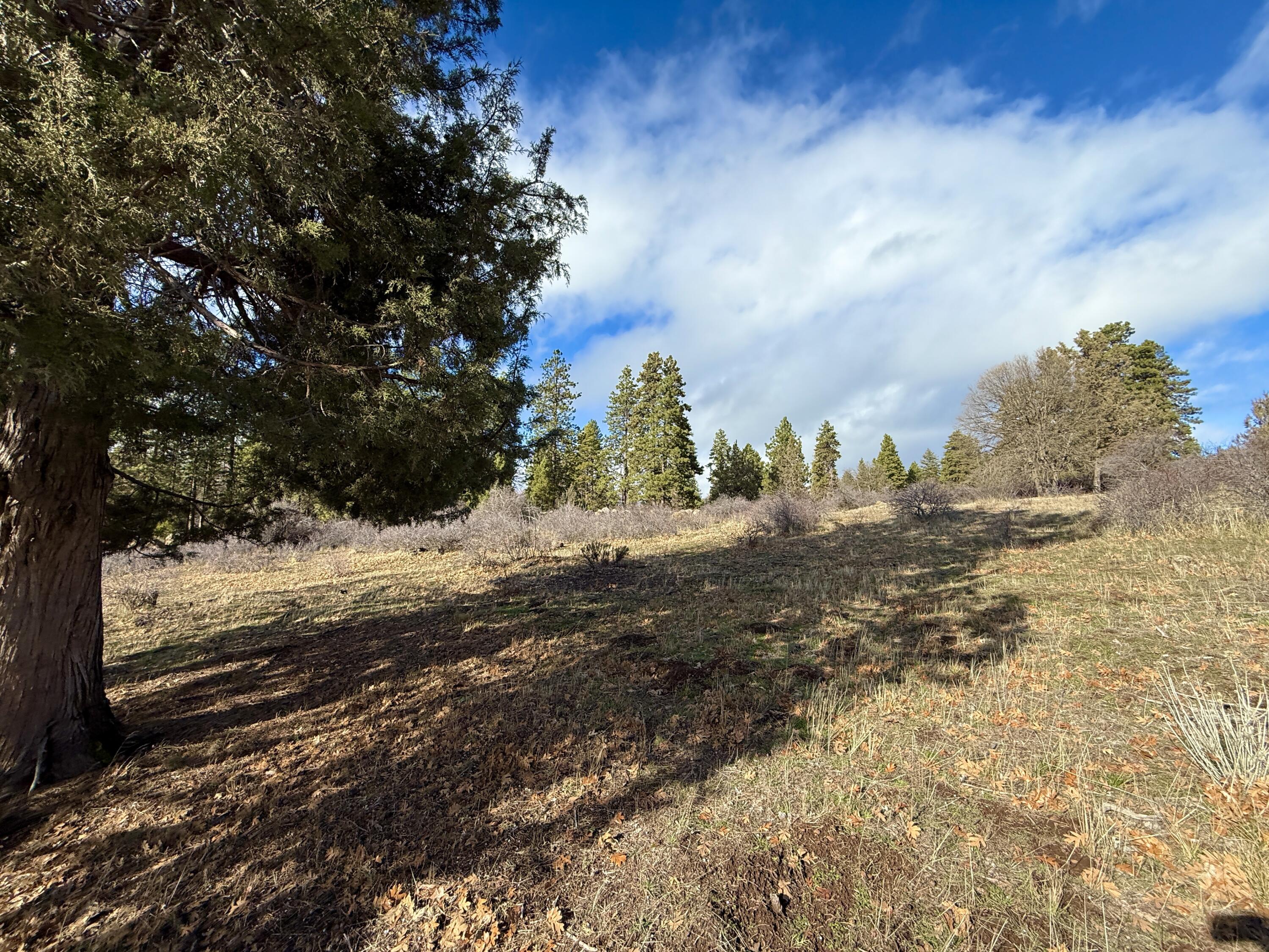 Running YResort - Land