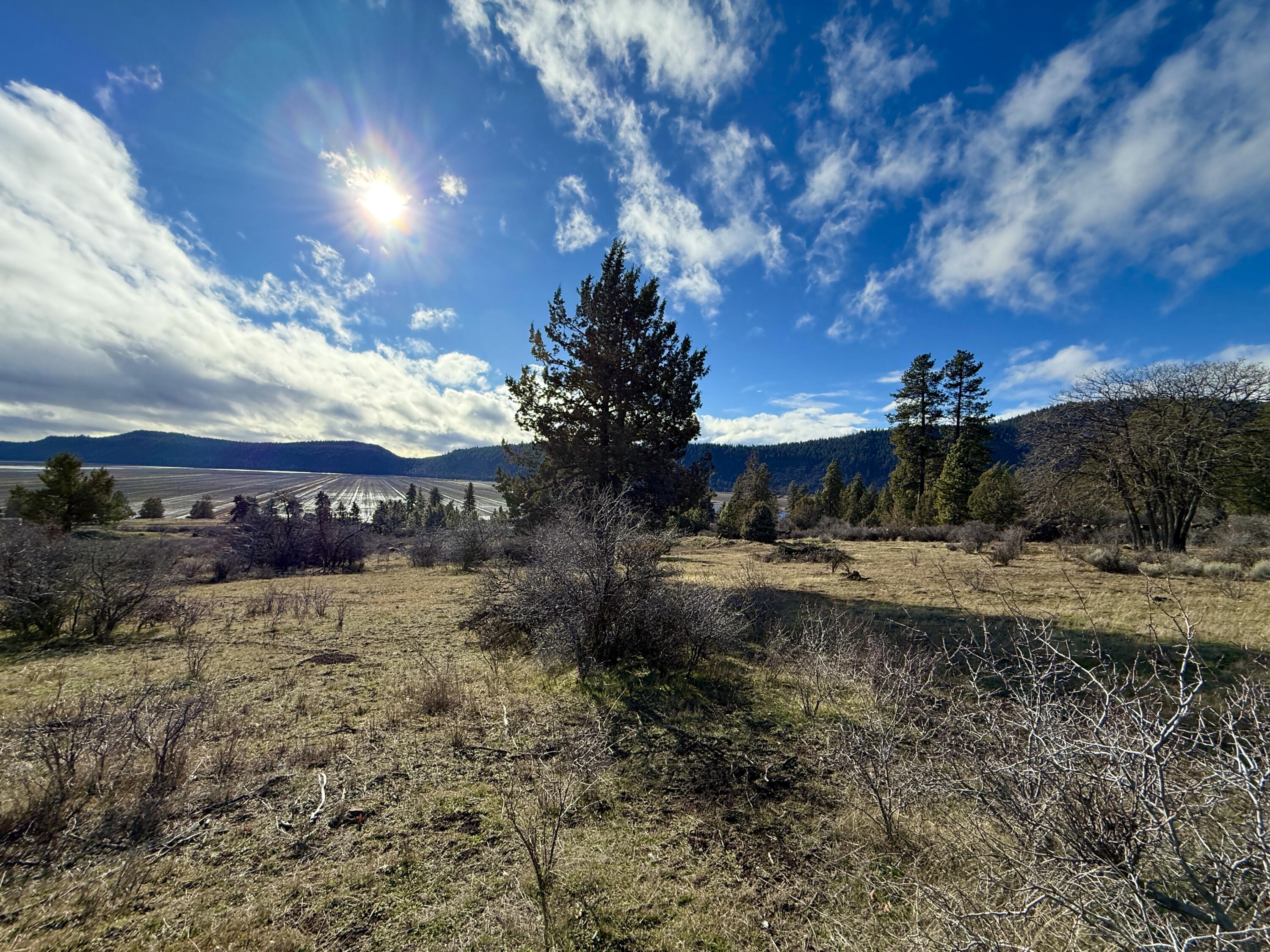 Running YResort - Land