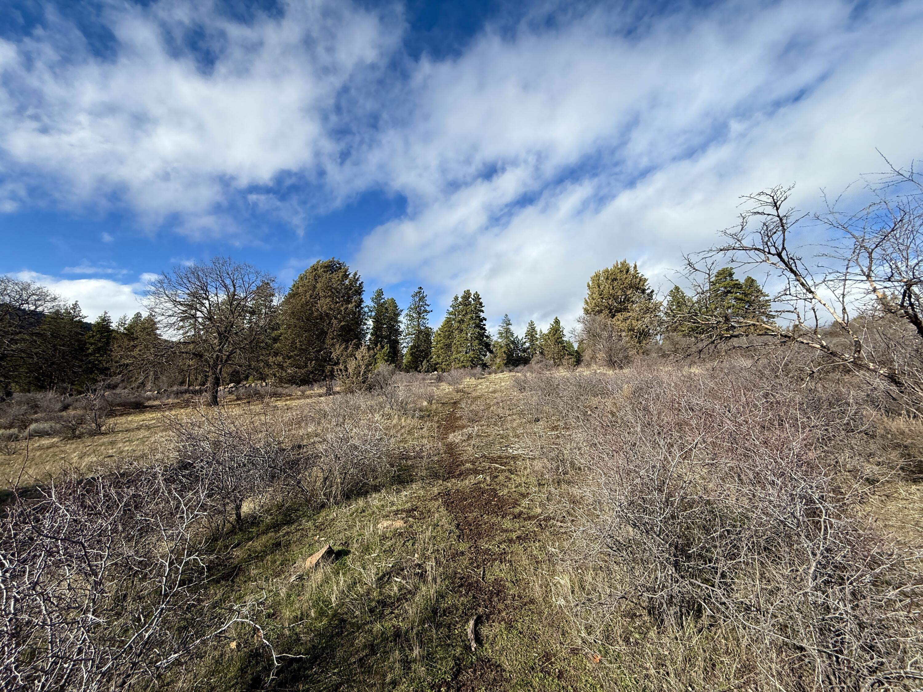 Running YResort - Land