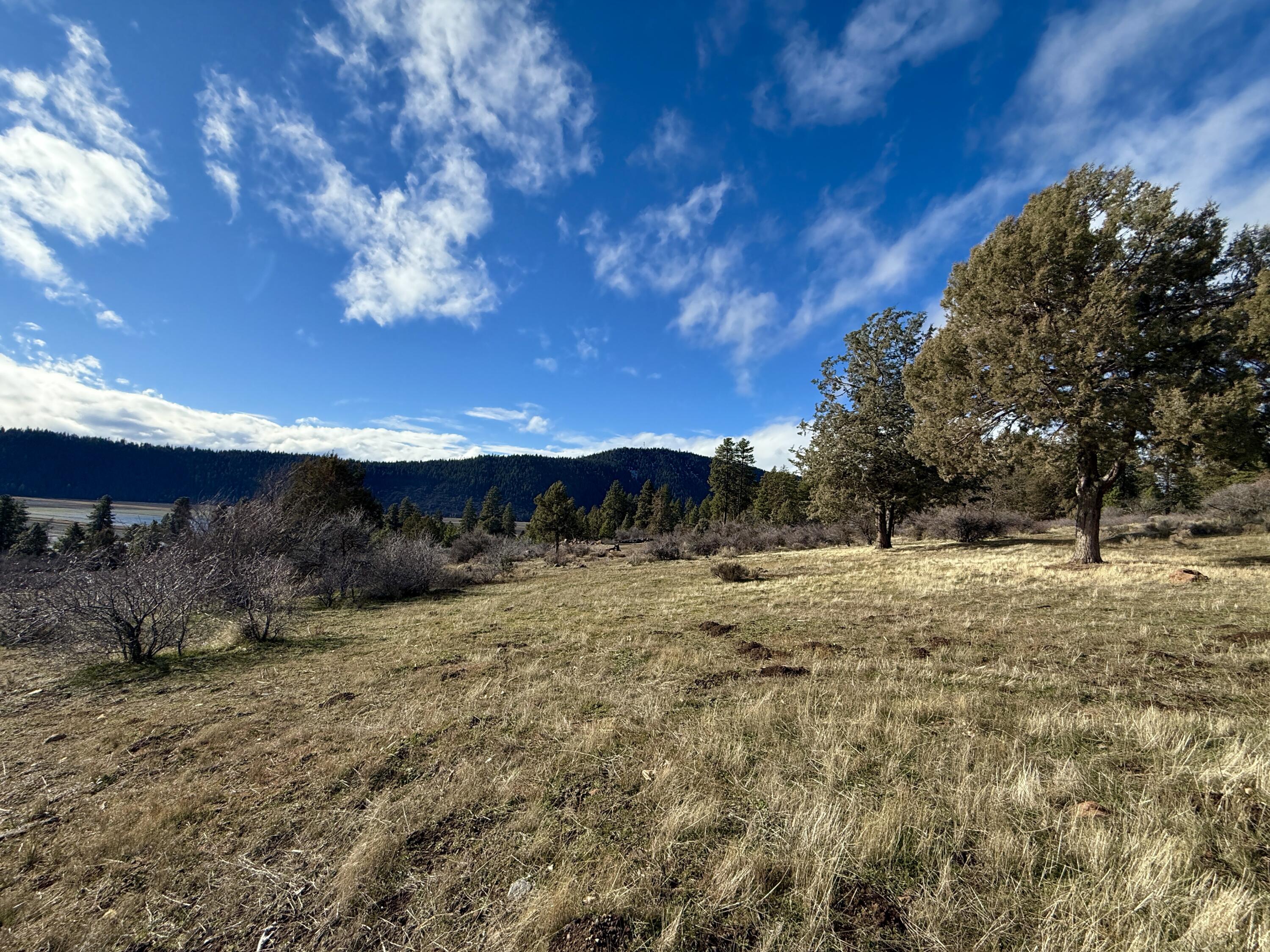 Running YResort - Land