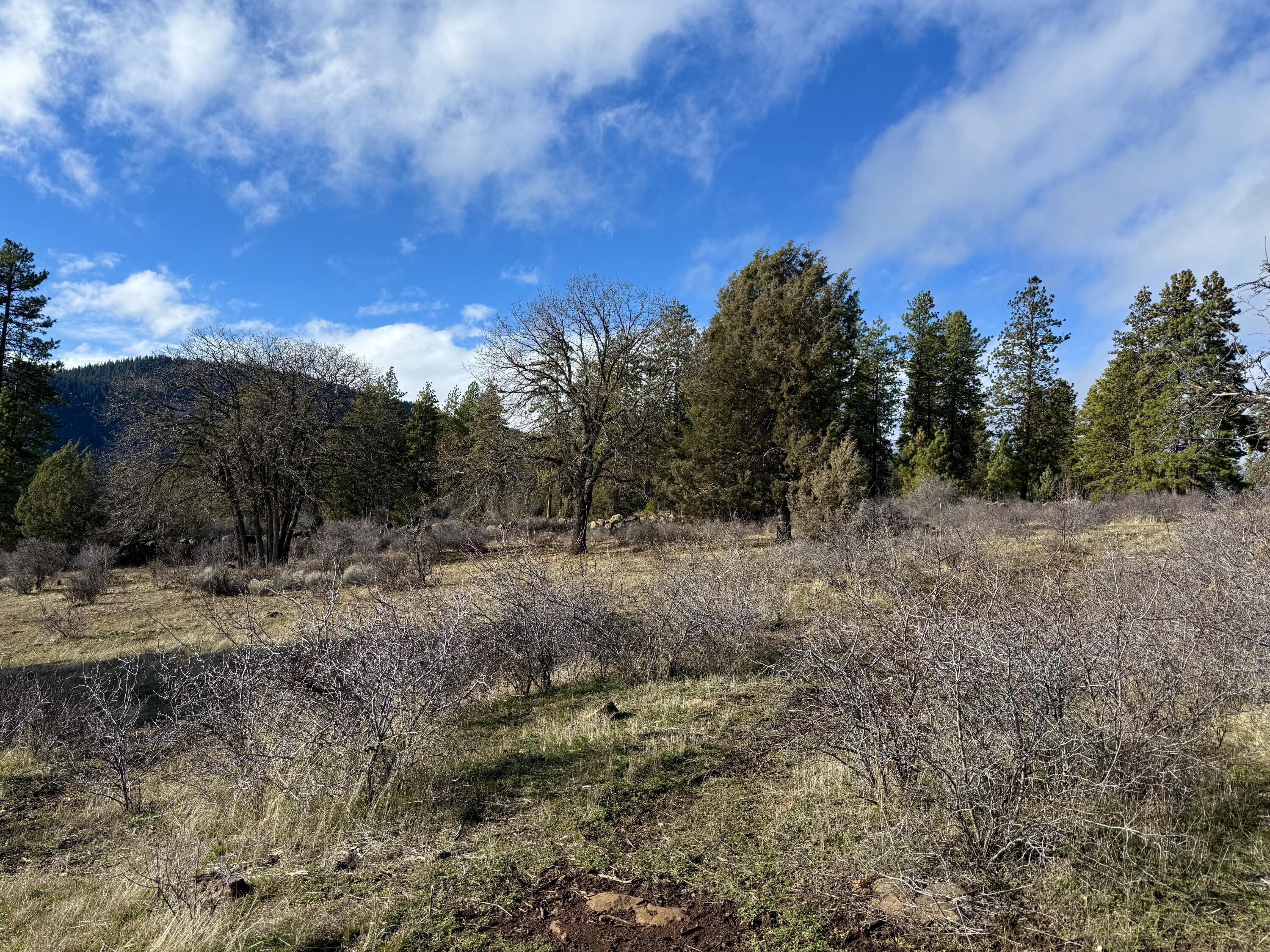 Running YResort - Land