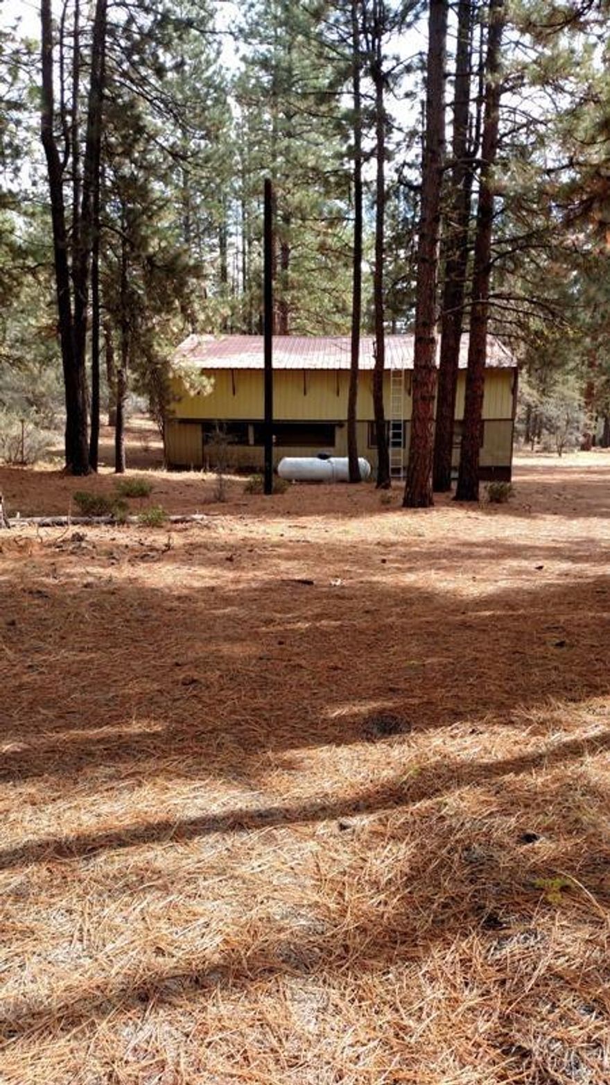 Priced to sell below county RMV value. The perfect place for summer vacations and family reunions or just kicking back to enjoy the natural elements of the area surrounded by numerous pine trees and blue sky. Features a pole barn style dwelling(40x40) with enclosed RV parking with patio area, must see to believe. Also includes a 20x28 3 bay shop/garage. Needs a little TLC but has endless possibilities. This property is perfect for the Snow birders or full time living. Don't miss out on this great opportunity! Water is hauled from community well, no septic or electricity, however, power is at the property line. OWC is NOT available.