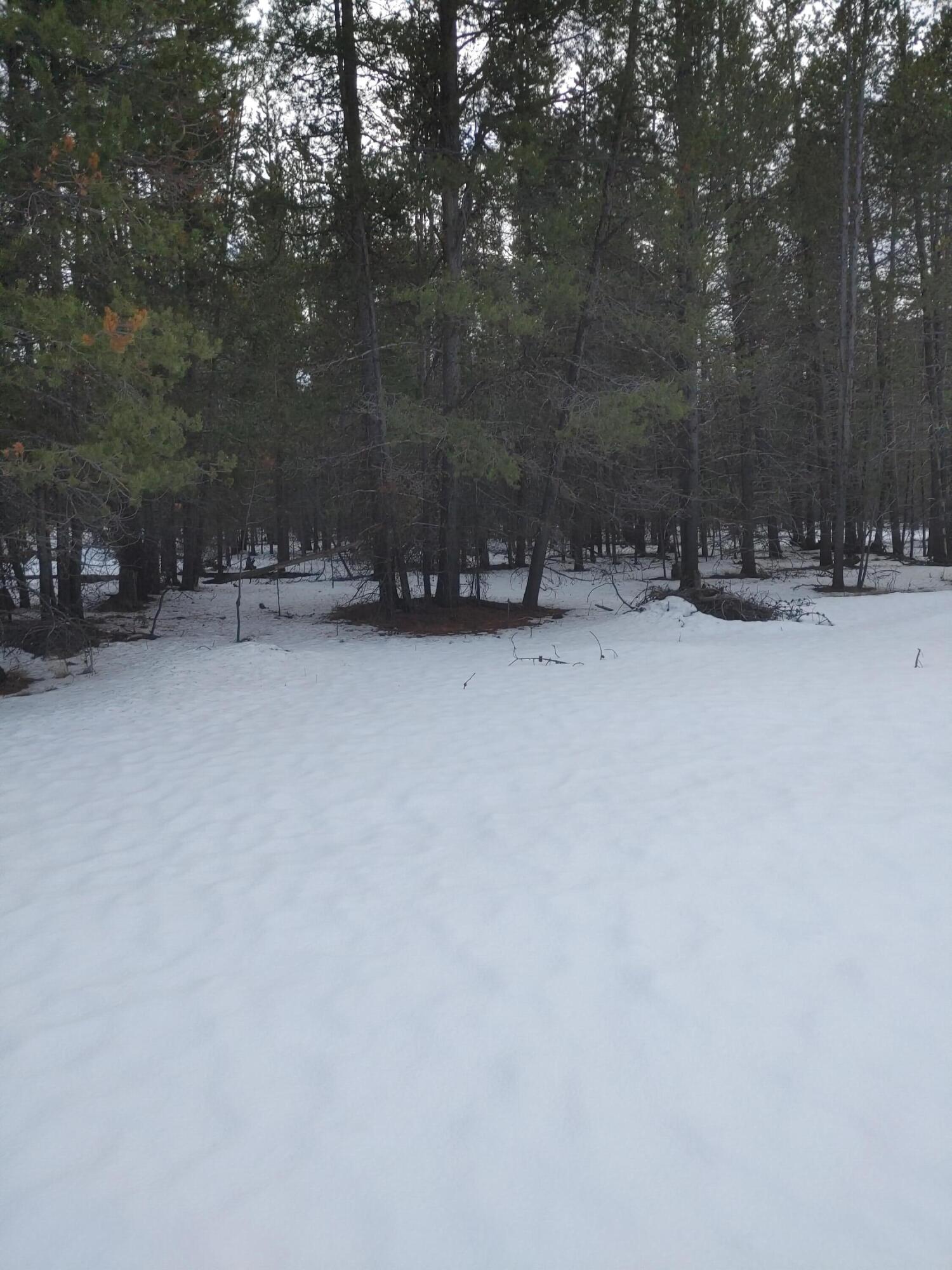 Lazy River West - Land