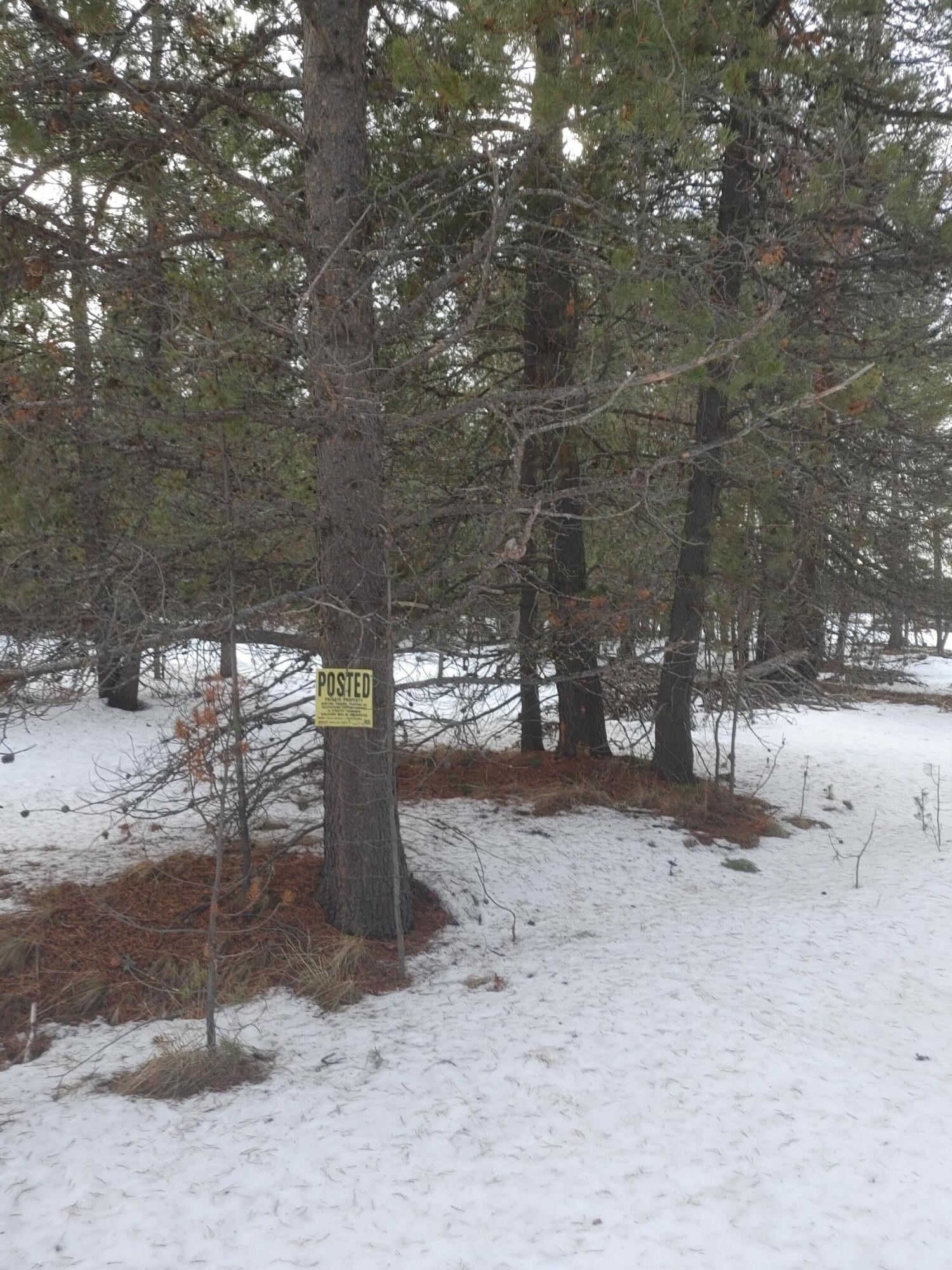 Lazy River West - Land