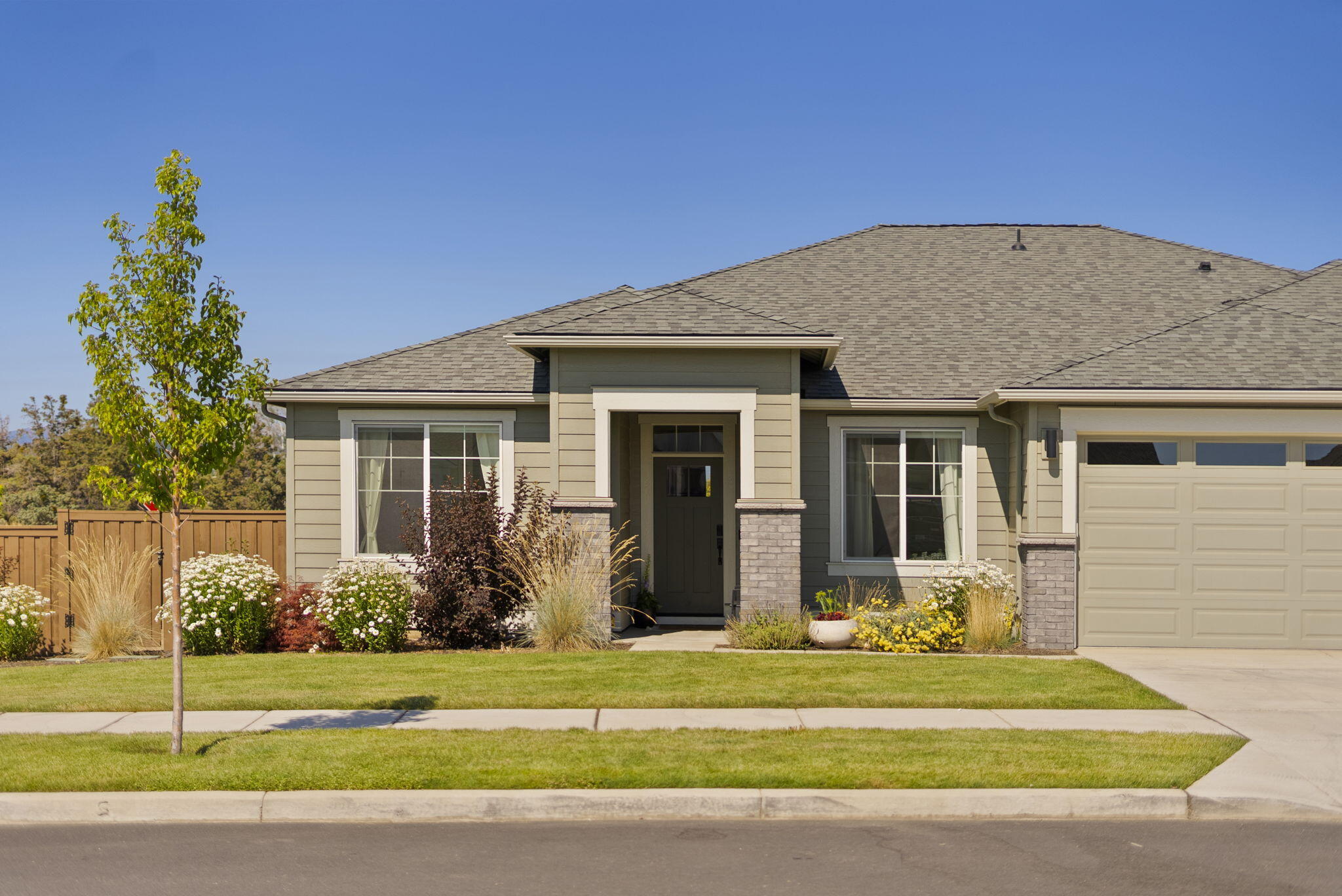 Petrosa - Residential