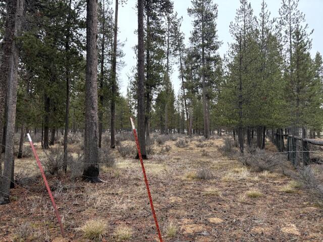 Sun Forest Estates - Land