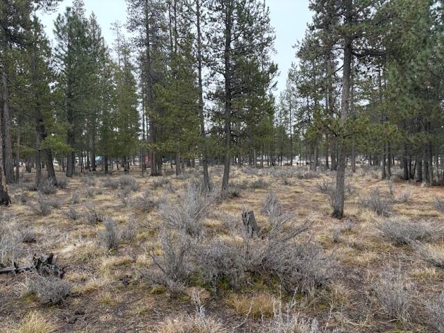 Sun Forest Estates - Land