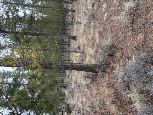 Sun Forest Estates - Land