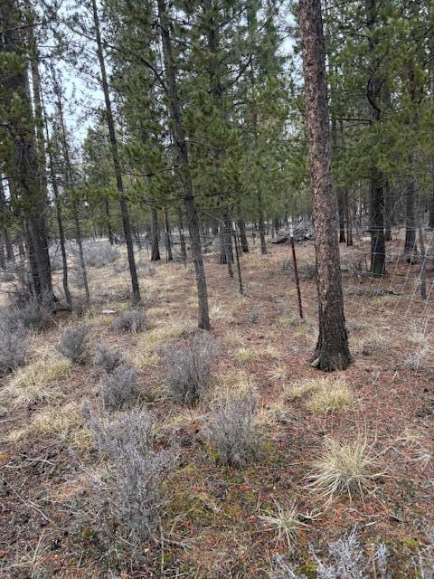 Sun Forest Estates - Land