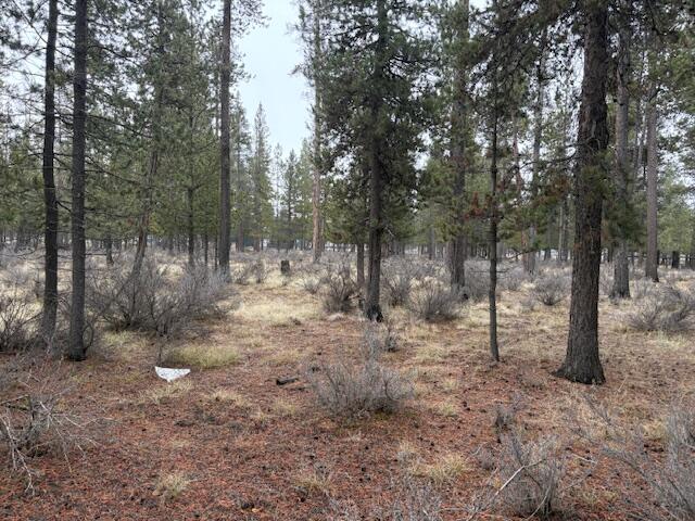 Sun Forest Estates - Land