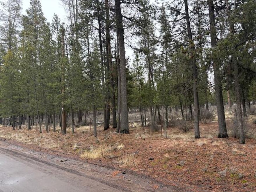 Nice level, fenced 1 acre property in Sun Forest Estates.  Not far off the paved road!  Blank Canvas for your new home!  Needs Septic, well and electric.   Drive by and take a look!