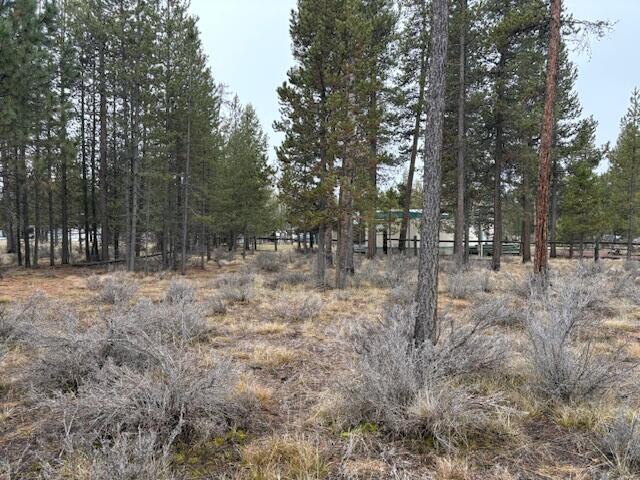 Sun Forest Estates - Land