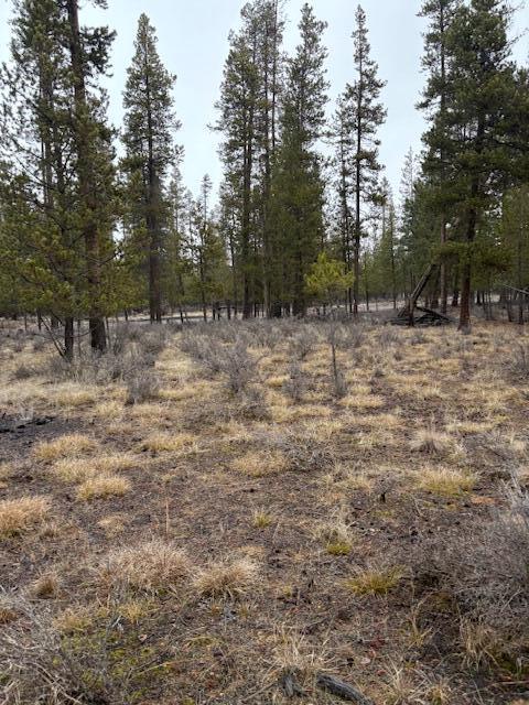 Sun Forest Estates - Land