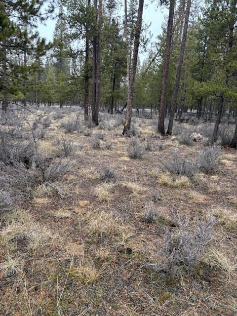 Sun Forest Estates - Land