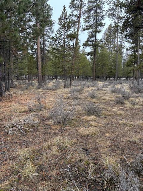 Sun Forest Estates - Land