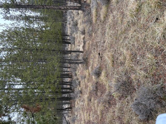 Sun Forest Estates - Land