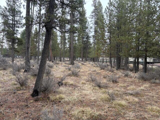 Sun Forest Estates - Land