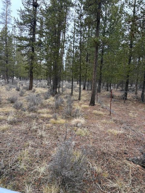 Sun Forest Estates - Land