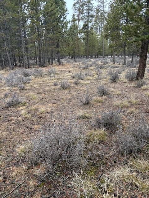 Sun Forest Estates - Land