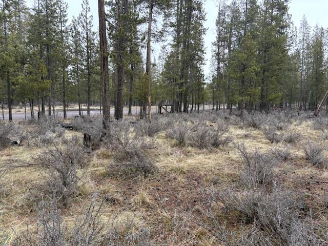 Sun Forest Estates - Land