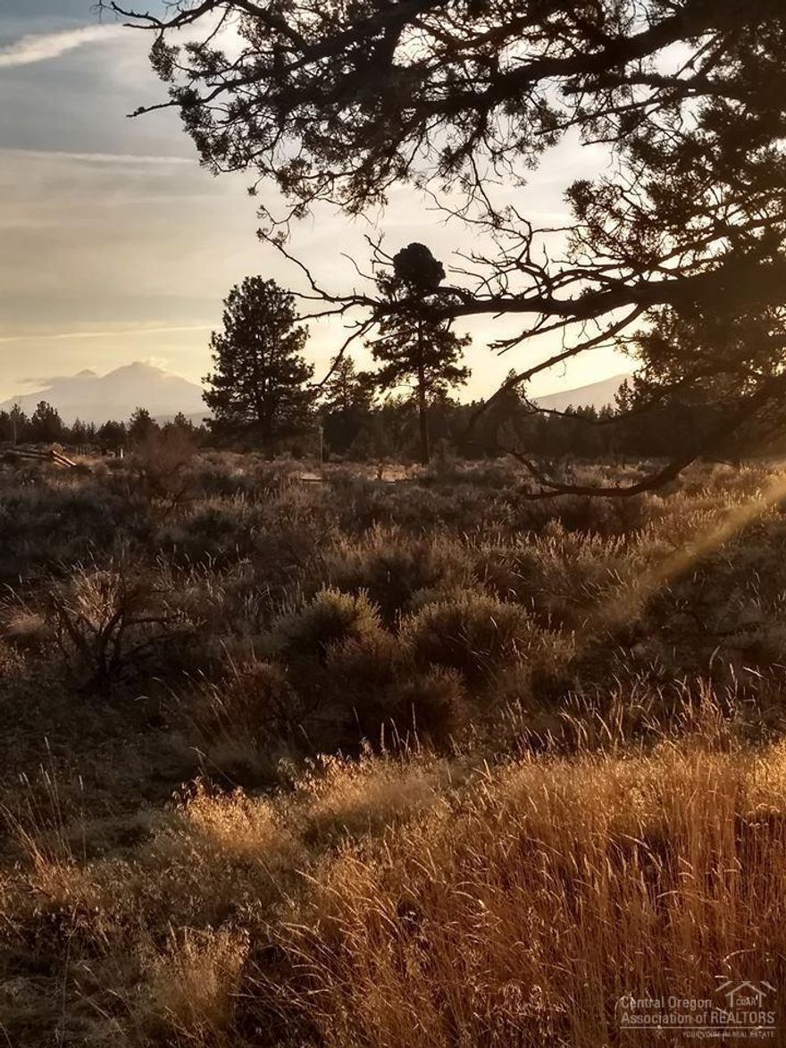 Great 2.5 acre parcel just 6 miles outside of Sisters off a quiet paved road. Property backs to an open field with wonderful Black Butte and Cascade Mountain Views. Nice neighborhood with reasonable protective CC&R's. Build your dream home here! Utilities at street.