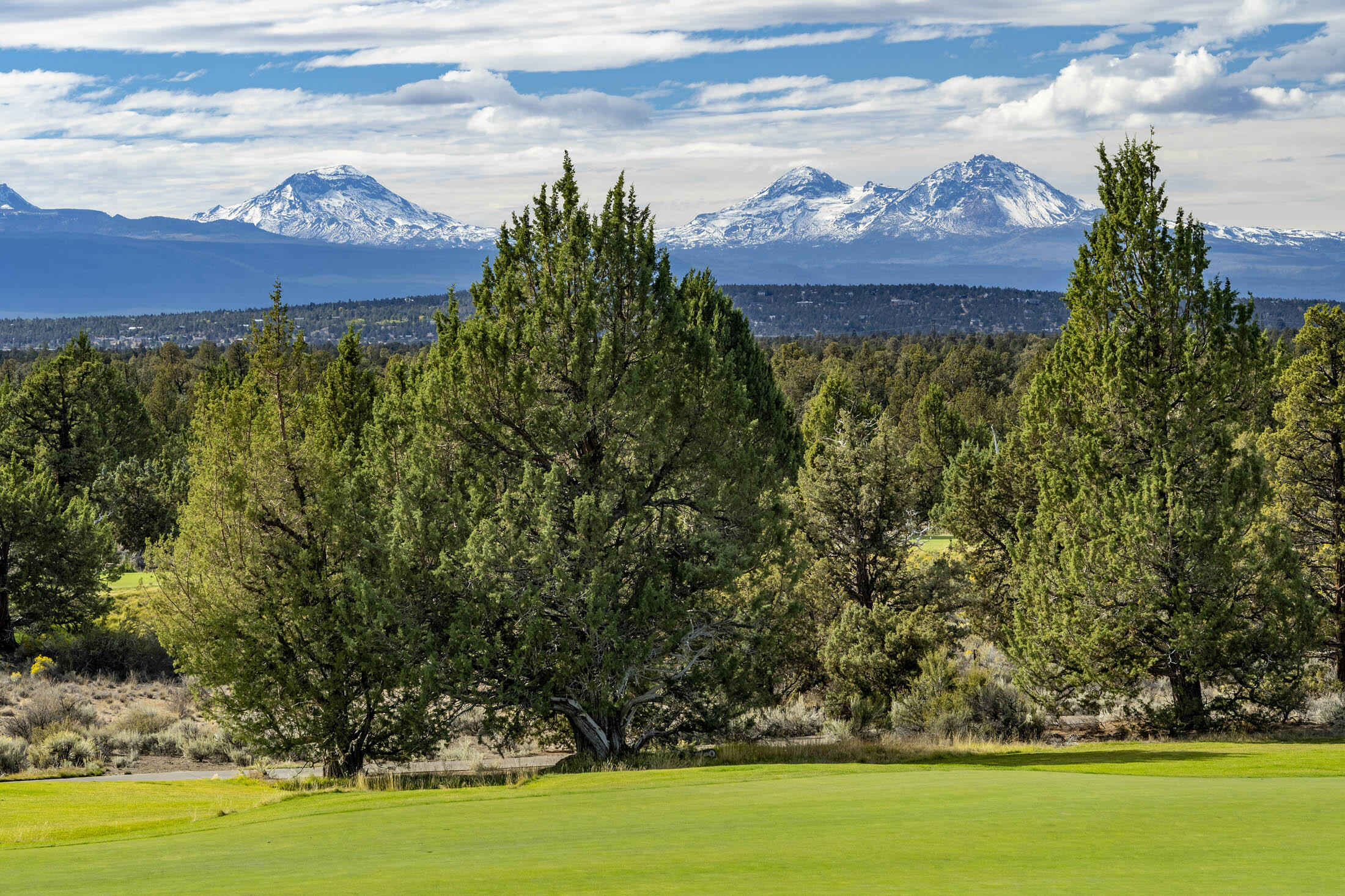 Pronghorn - Residential