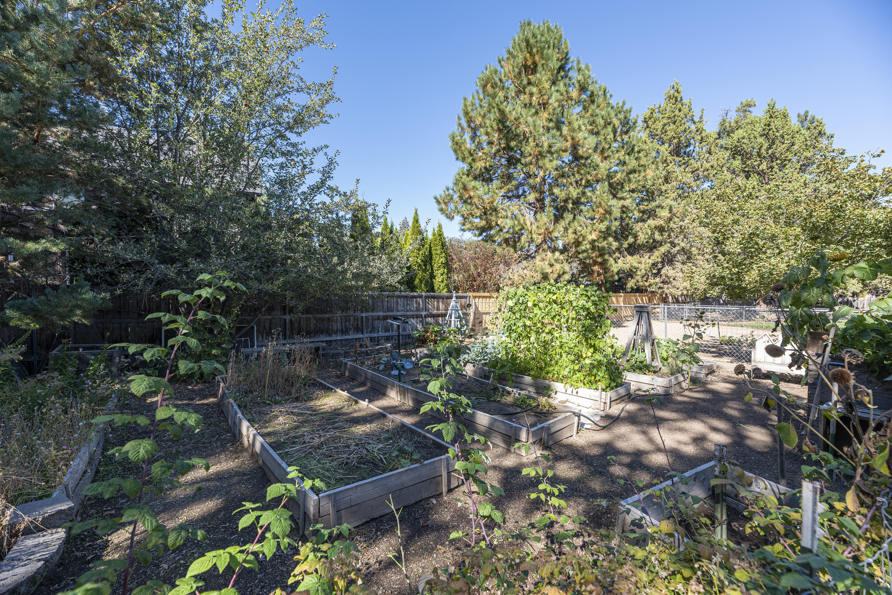 Davis - Residential