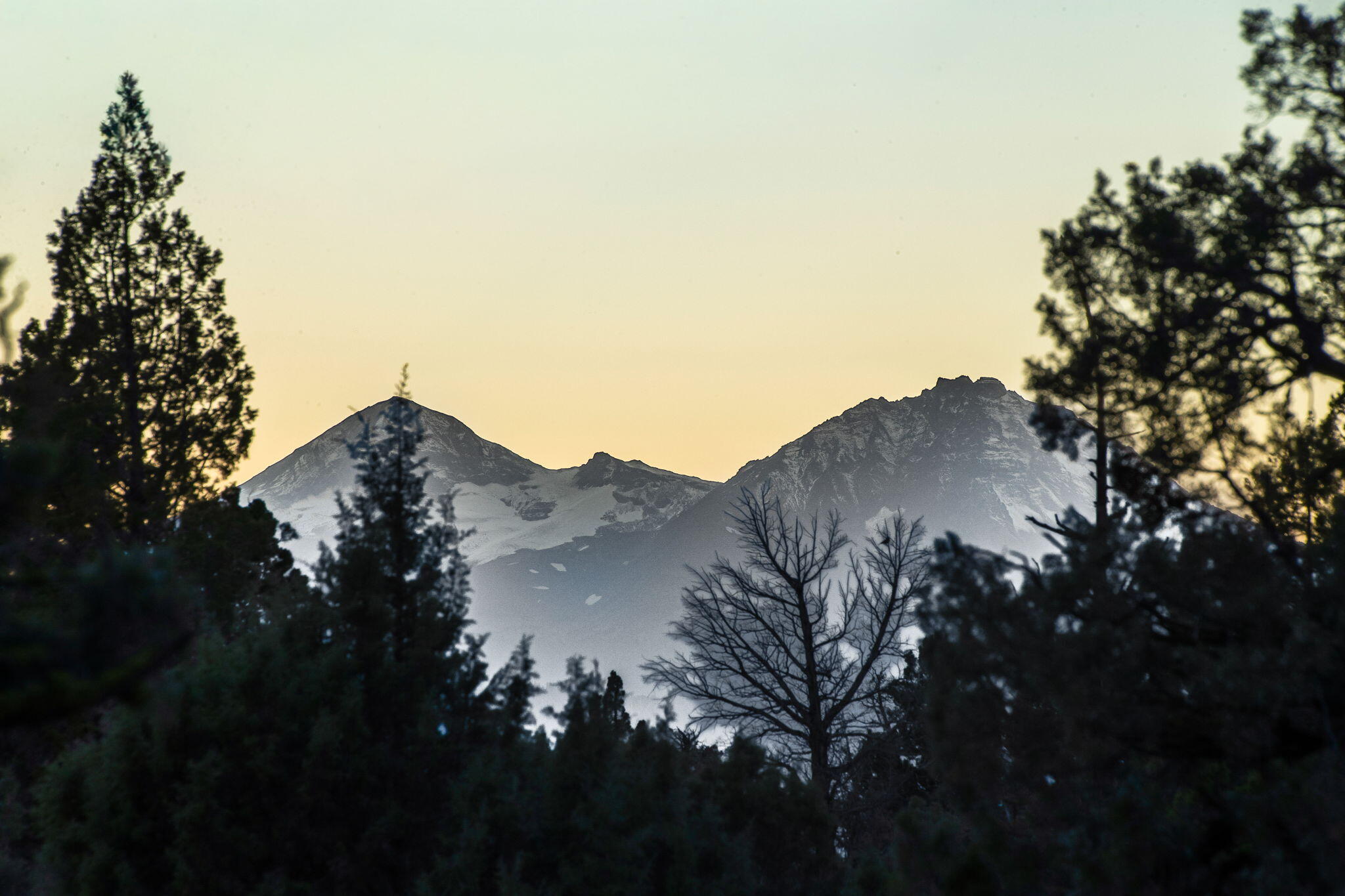 Whispering Pines - Residential