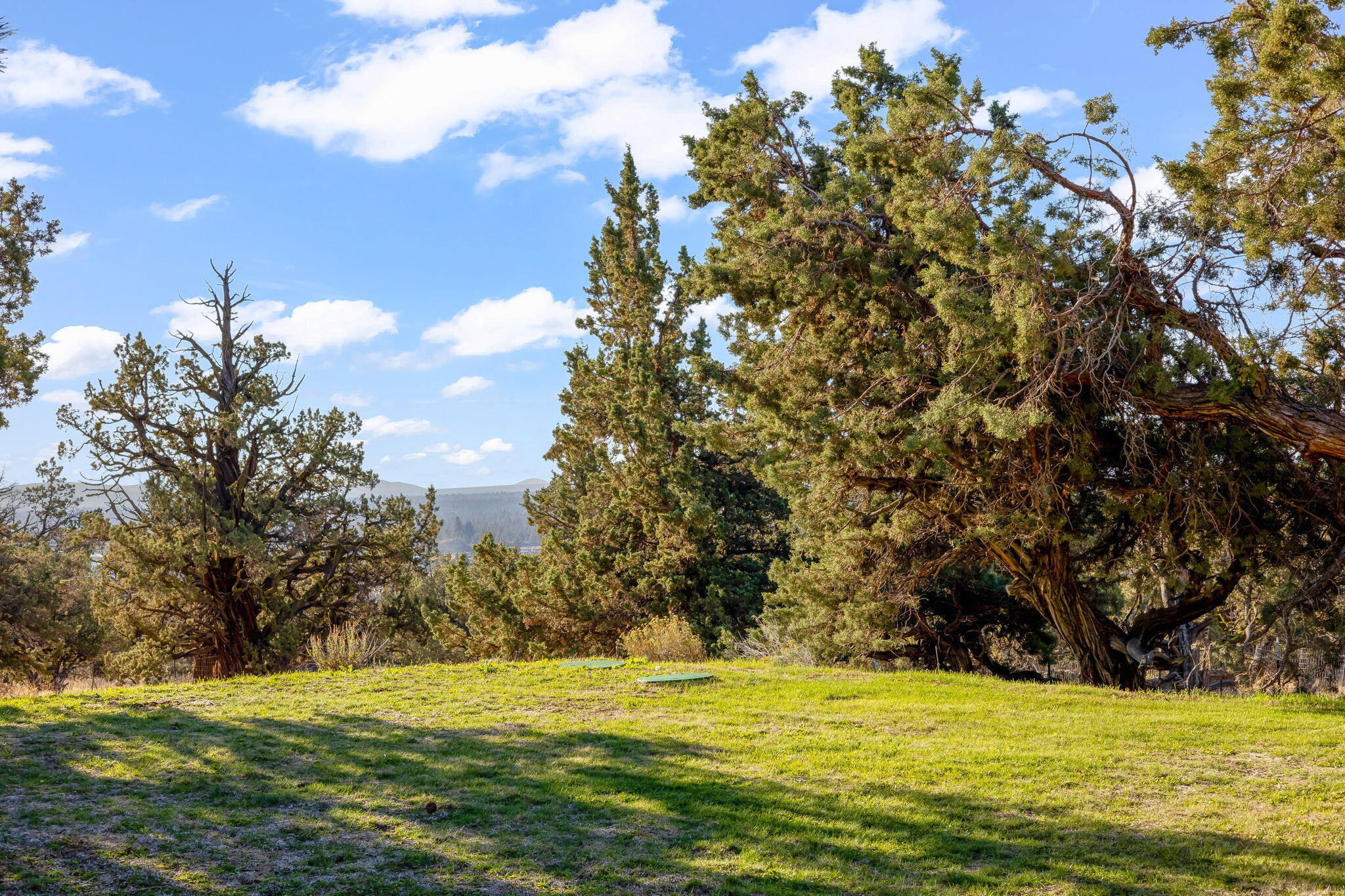 Whispering Pines - Residential