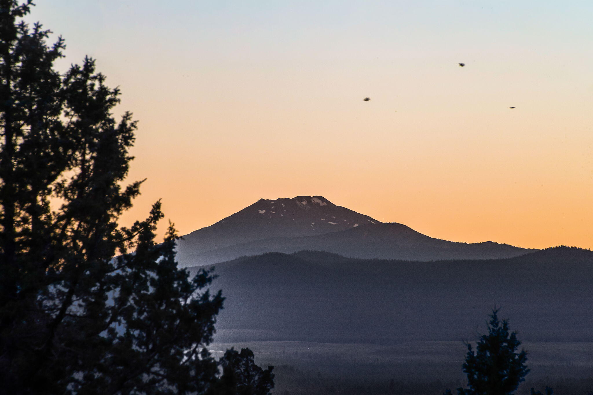 Whispering Pines - Residential