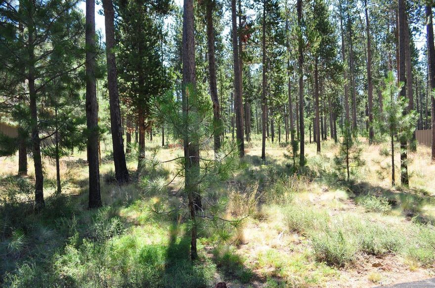 Build your dream home on this .23 acre lot! Easy accessibility from Cottonwood on the North end of Sunriver Resort close to the north store, post office and bike paths. Large corner lot across the street is vacant providing nice treed space. Enjoy all that the resort has to offer-swimming, tennis, paved trails, golfing, parks, access to SHARC, and so much more. SHARC assessment paid in full!
