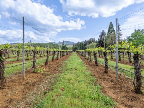 Tiny photo for 2871 Griffin Creek Road, Medford, OR 97501 (MLS # 220213117)