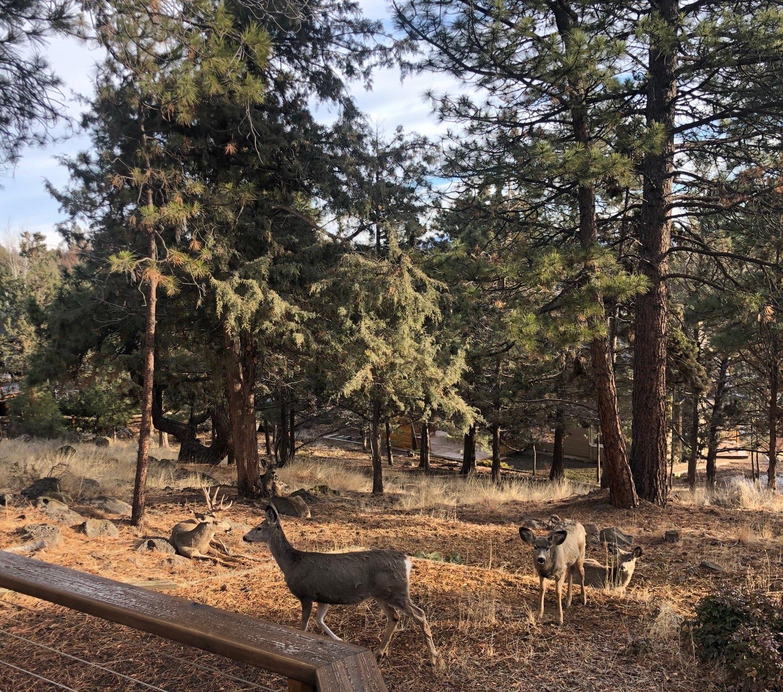 Bend View - Residential