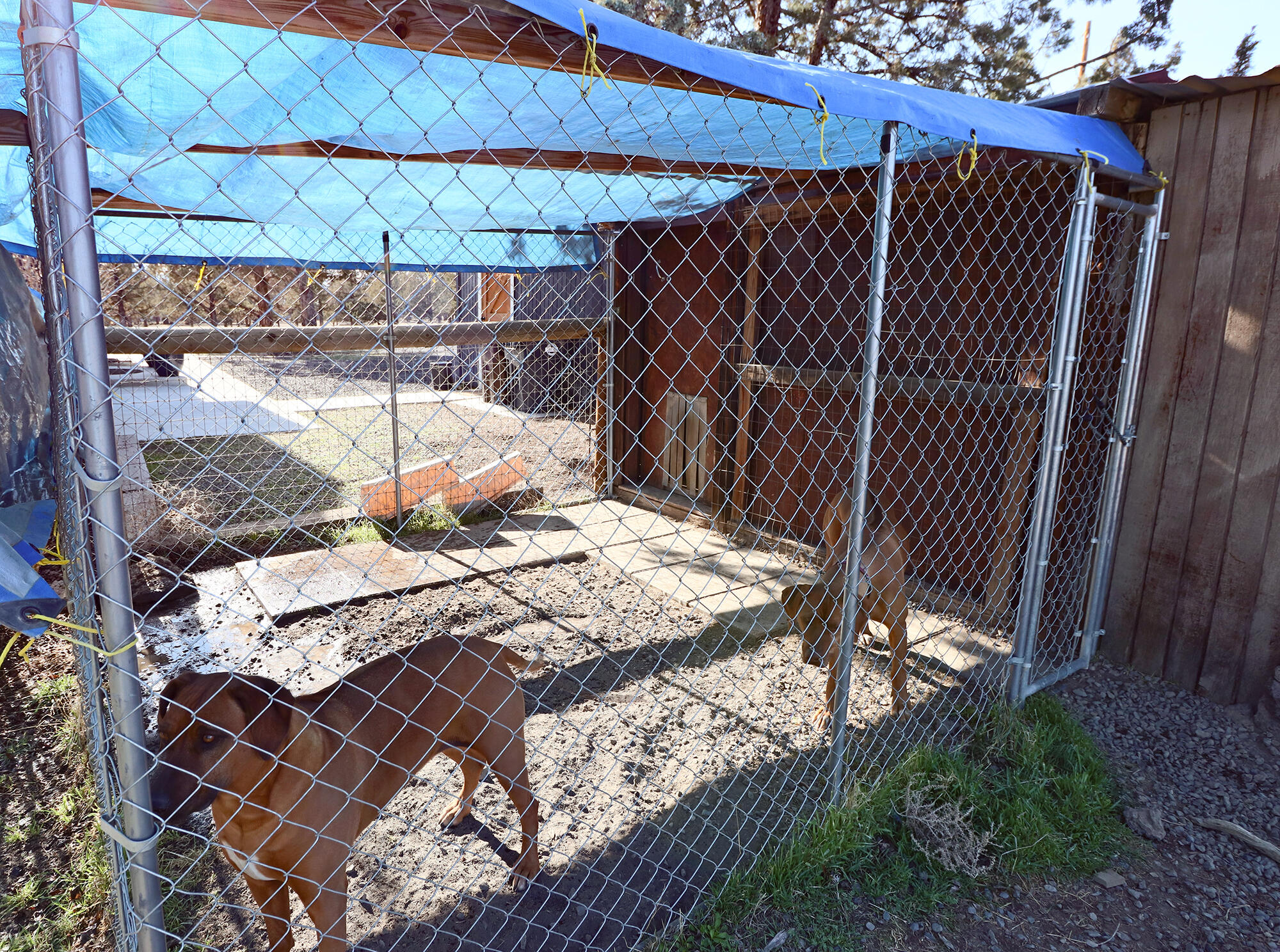 Tetherow Crossing - Residential