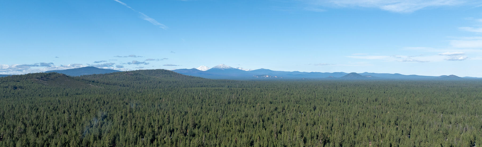 Ponderosa Pines - Residential