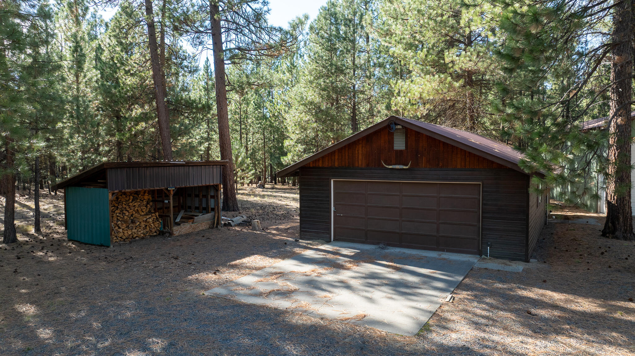 Ponderosa Pines - Residential