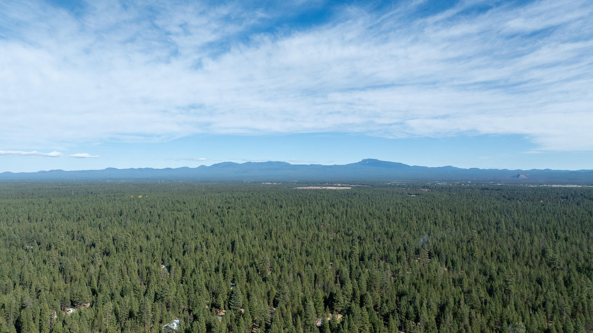 Ponderosa Pines - Residential