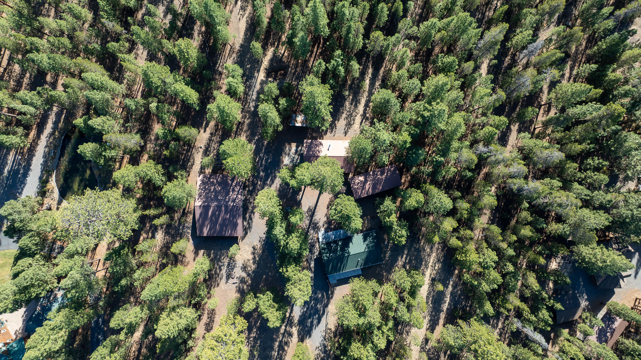 Ponderosa Pines - Residential