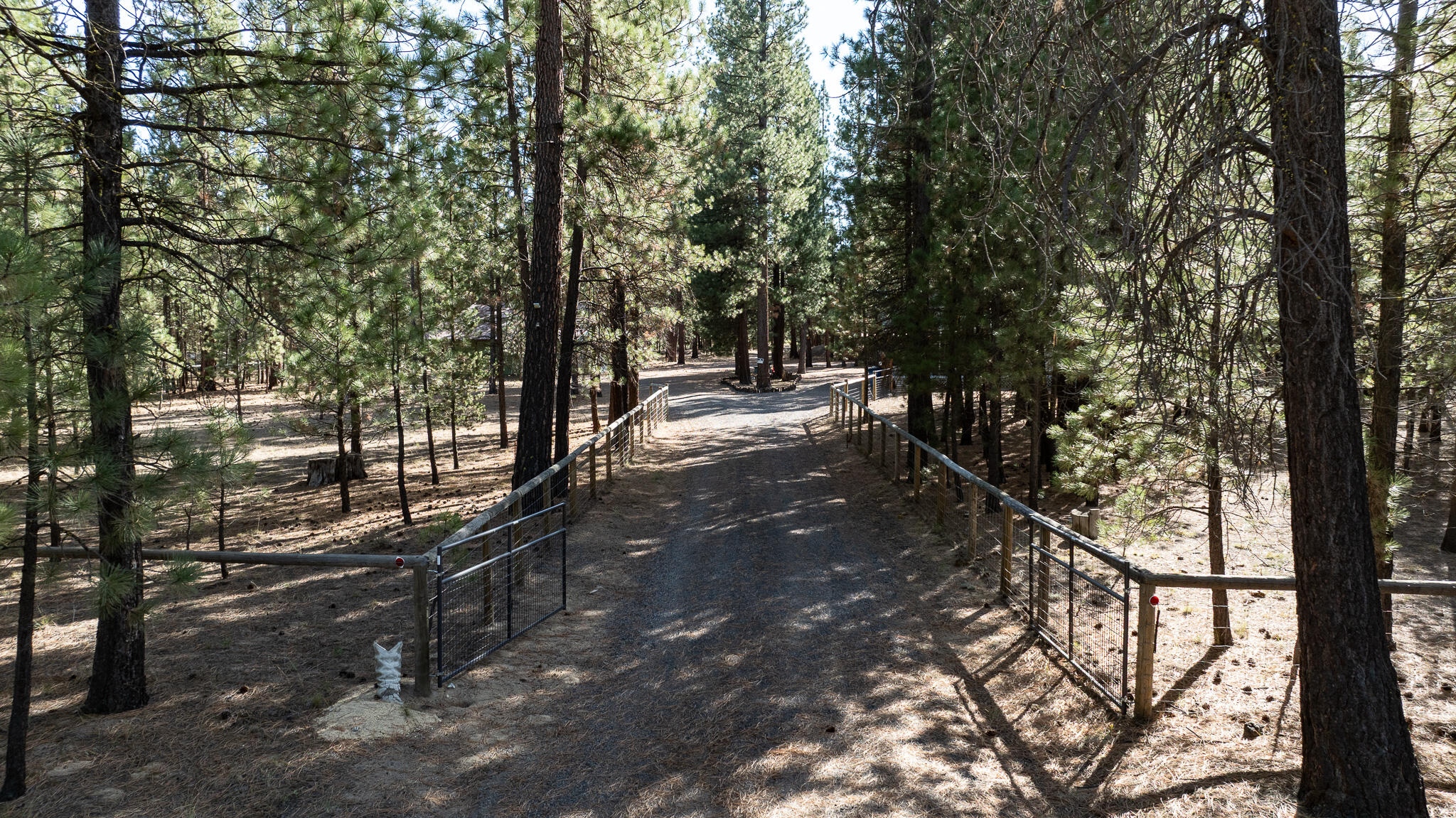 Ponderosa Pines - Residential