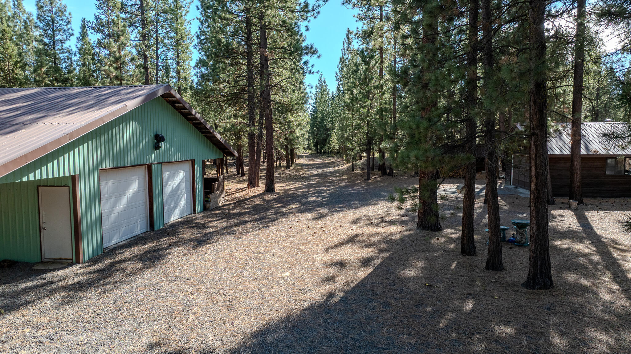 Ponderosa Pines - Residential