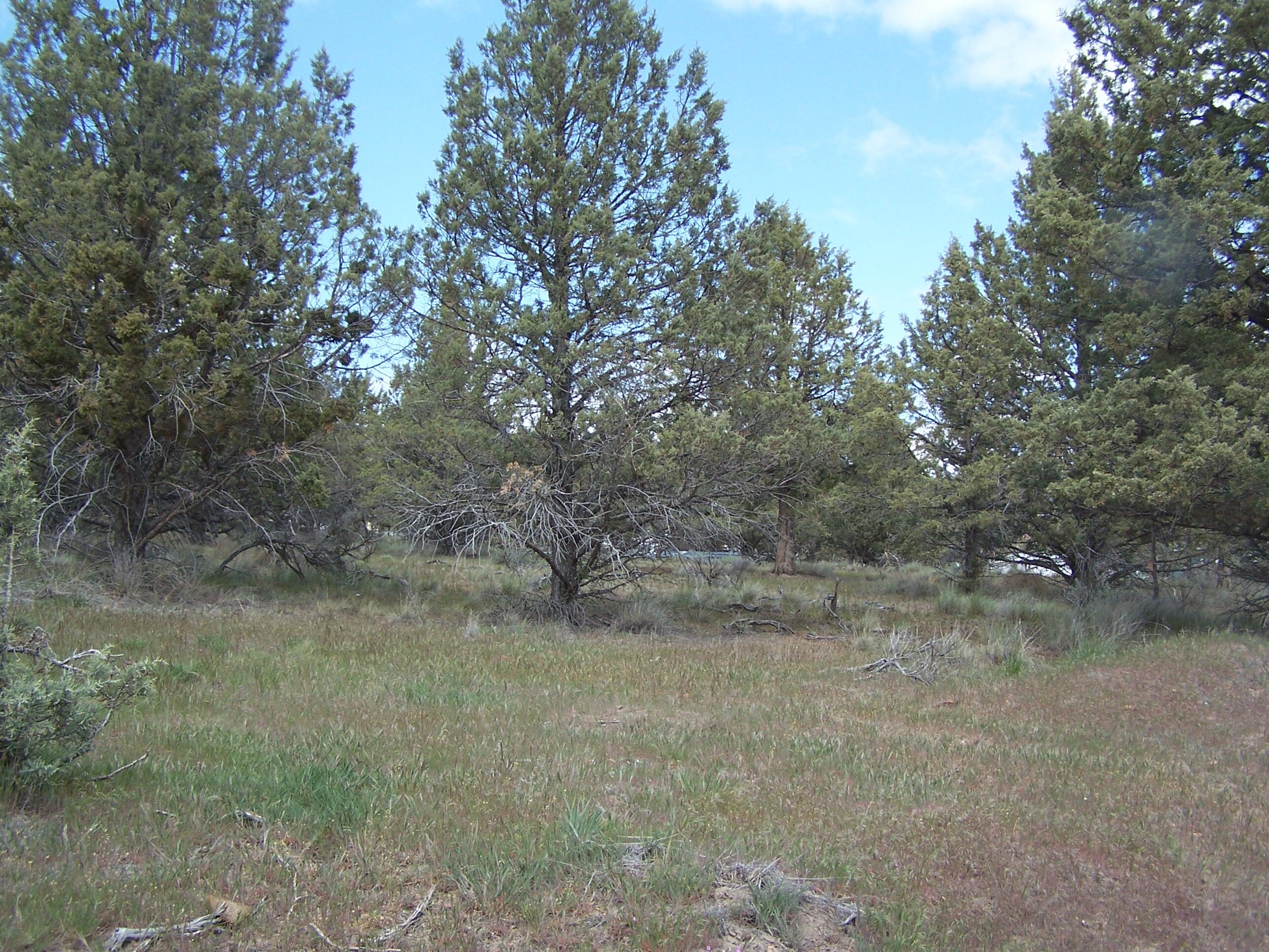 Golden Horseshoe - Land