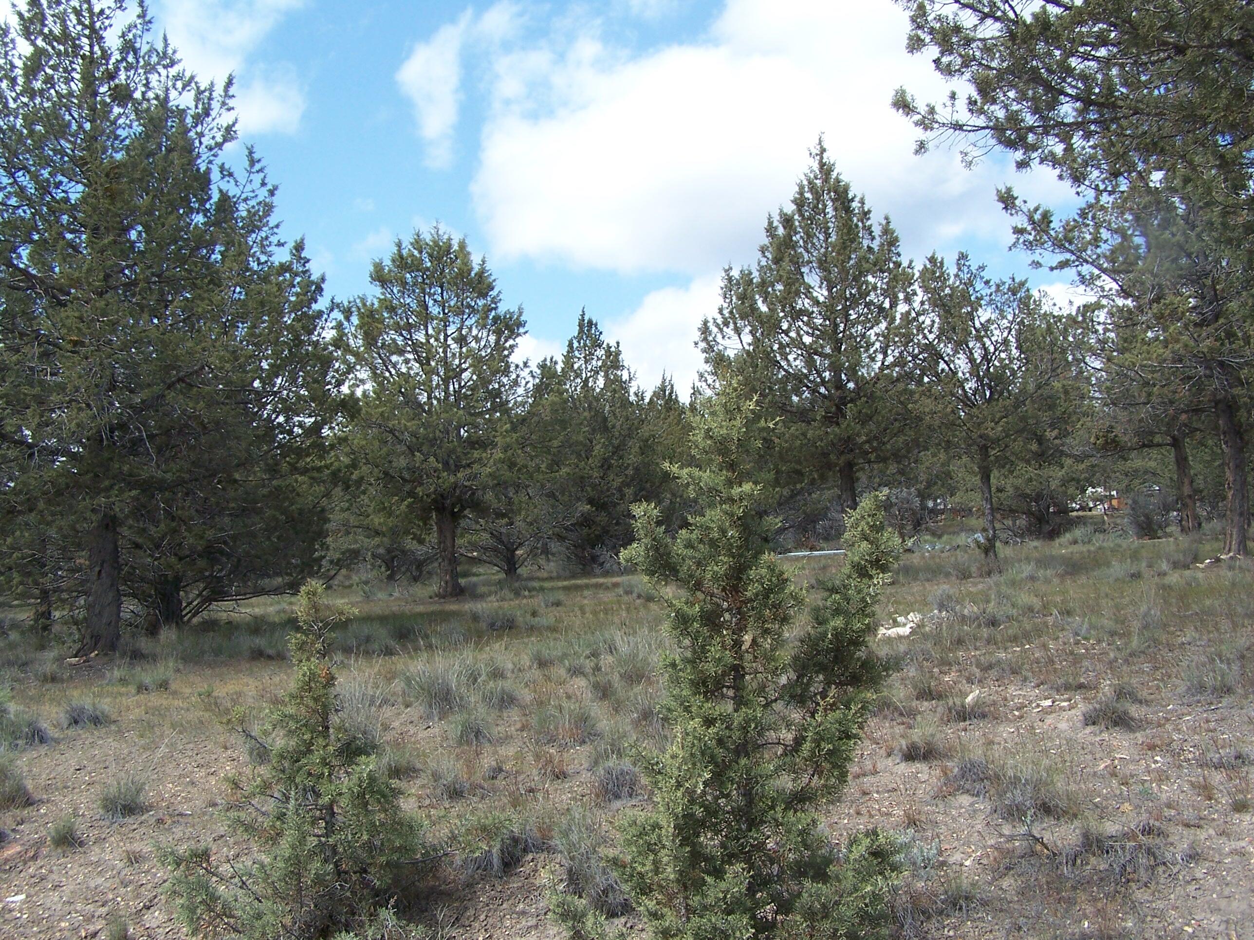 Golden Horseshoe - Land