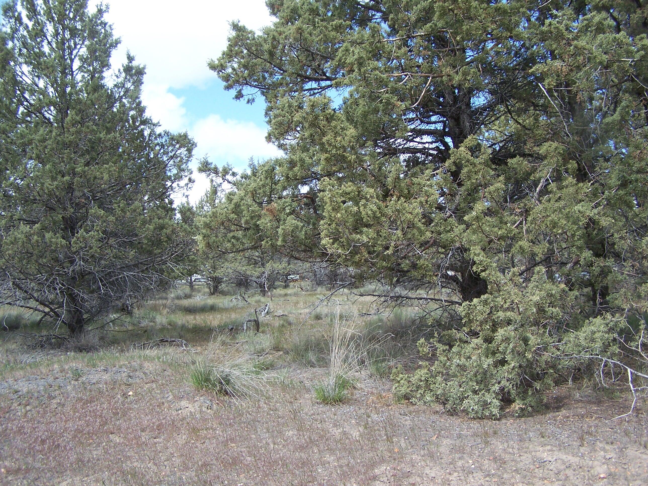 Golden Horseshoe - Land