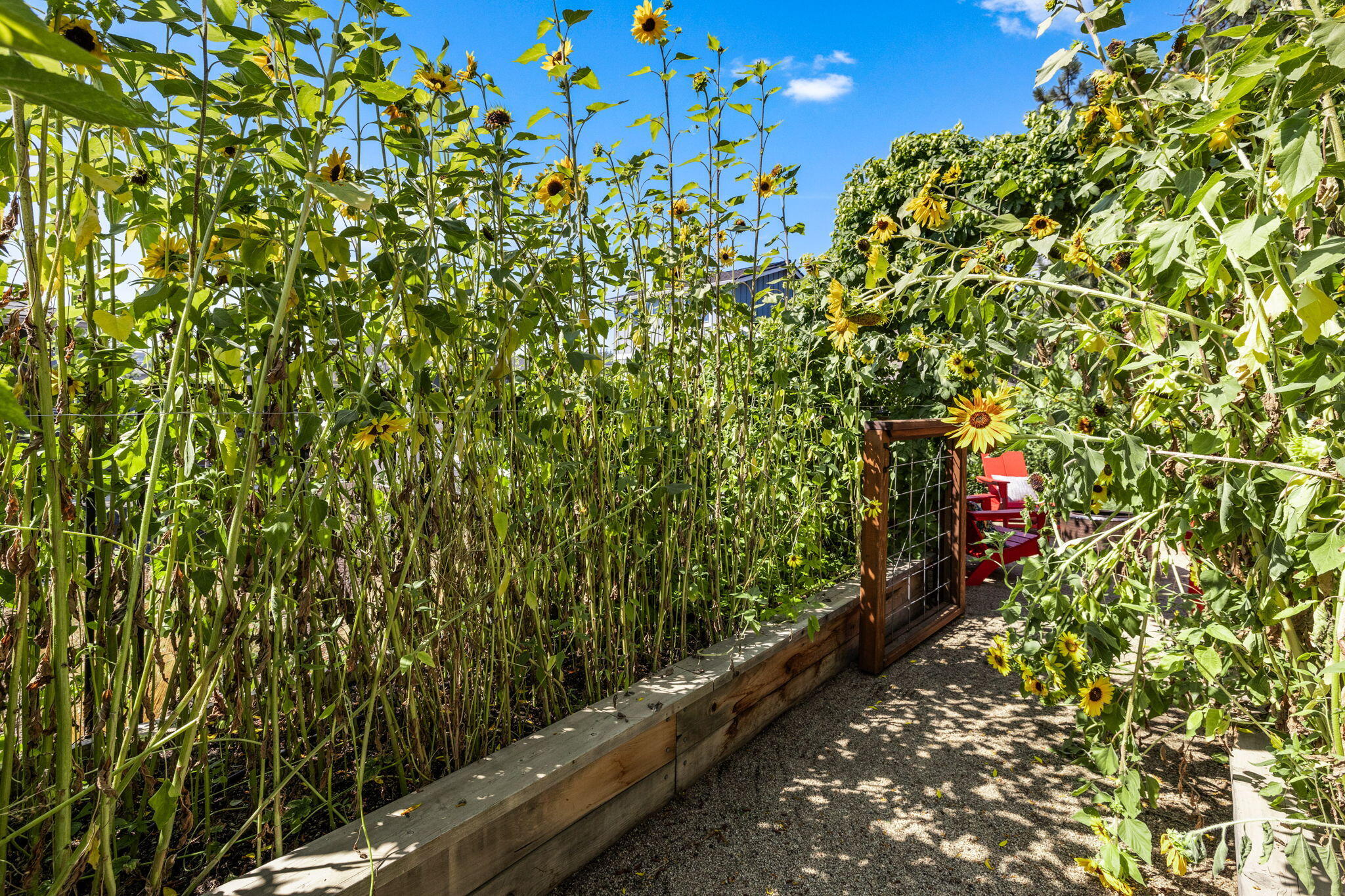 Shevlin Ridge - Residential