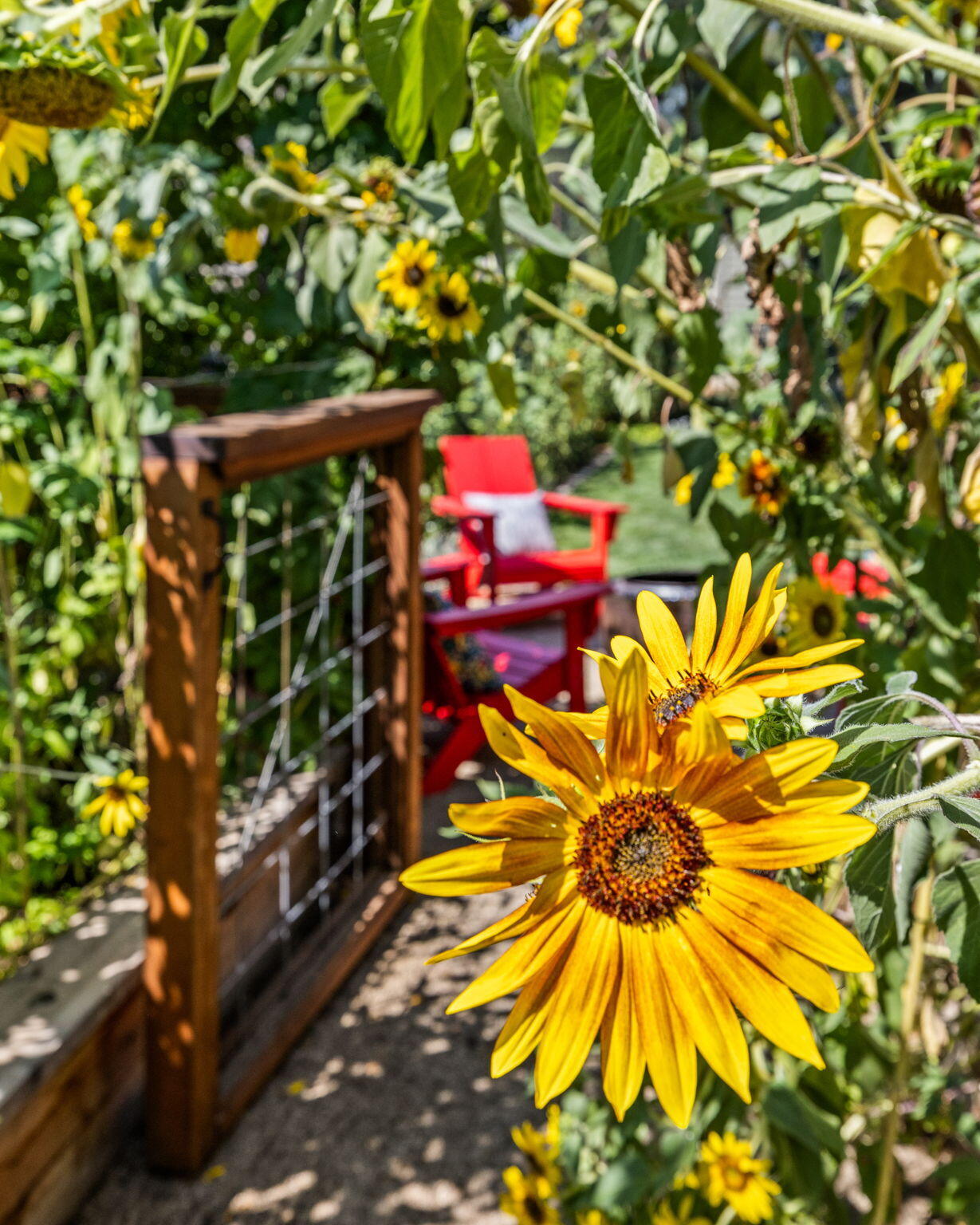 Shevlin Ridge - Residential