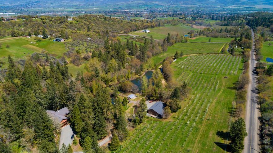 Beautiful 24 acre farm. 16 irrigated, EFU acres now planted with 5 acres of Pinot Gris grapes and 5 acres of Comice and Bosc pears (per seller, buyer to do their own due diligence regarding planted acreage), a large shop, a 1-acre pond, large greenhouse and a must-see home, picture perfect for entertainment and guests. Location, location, location! Minutes from I-5, Jacksonville, Ashland and Medford.